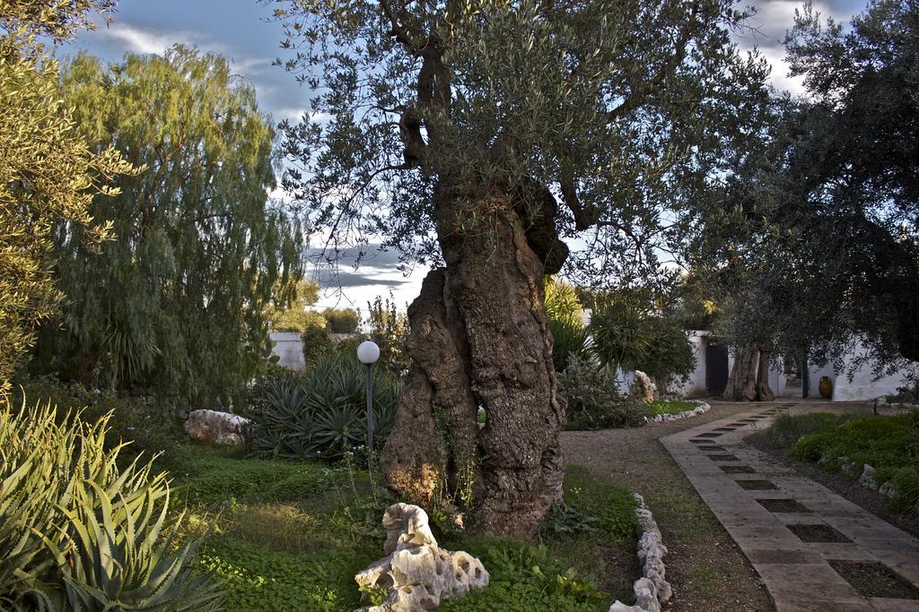 Masseria Vagone Macchia di Monte Ngoại thất bức ảnh